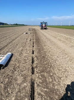 Leggen van de mestvezelslangen op Aeres Farms 